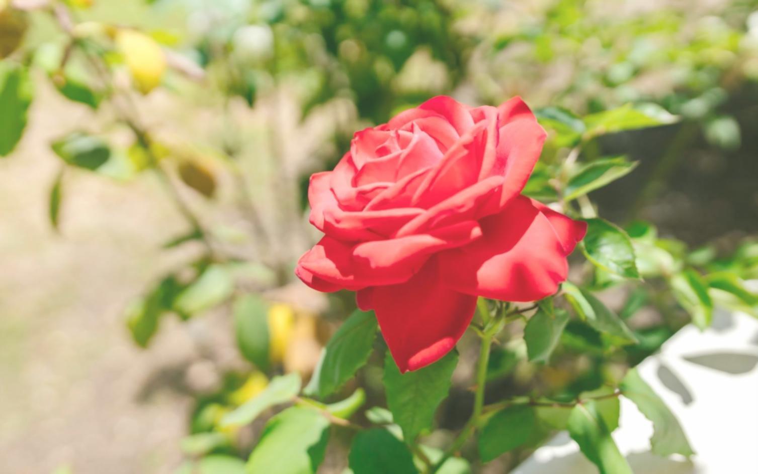 Fortgeschrittene Framework-Techniken