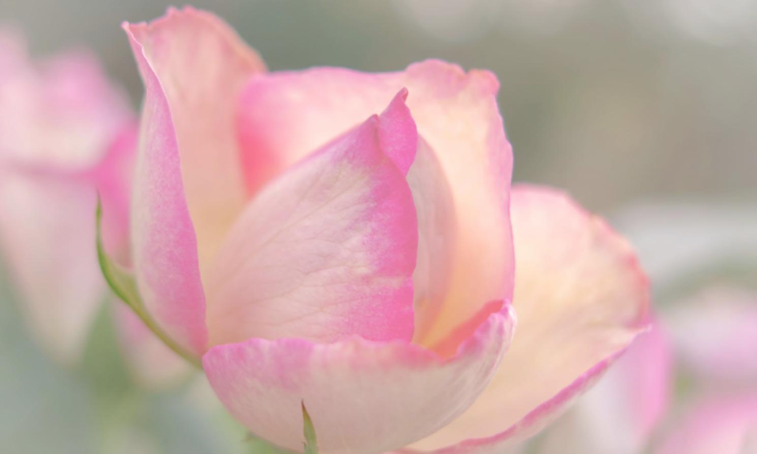 Spezialisierung Framework-Architektur