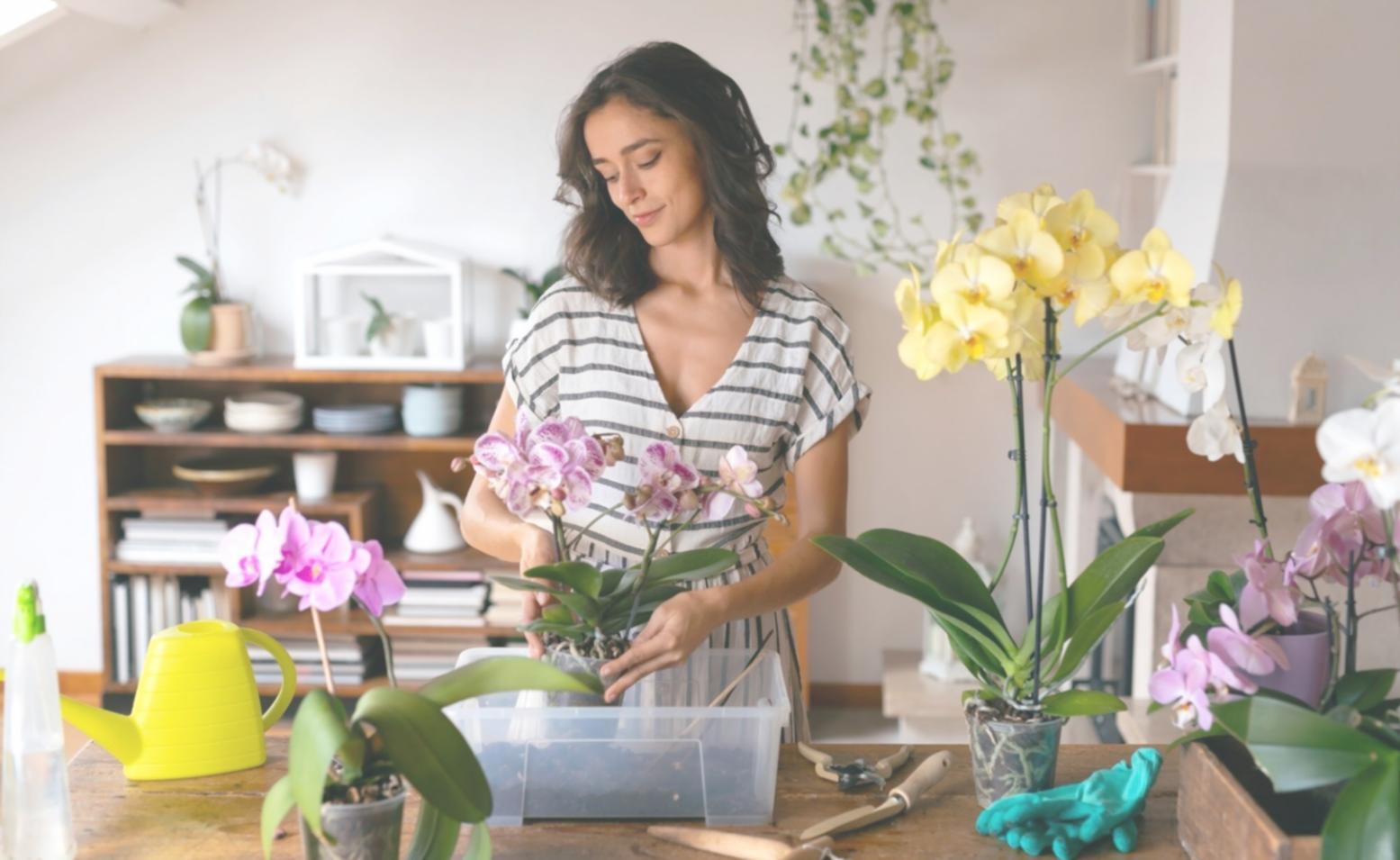 Vorbereitung auf die Karriereentwicklung