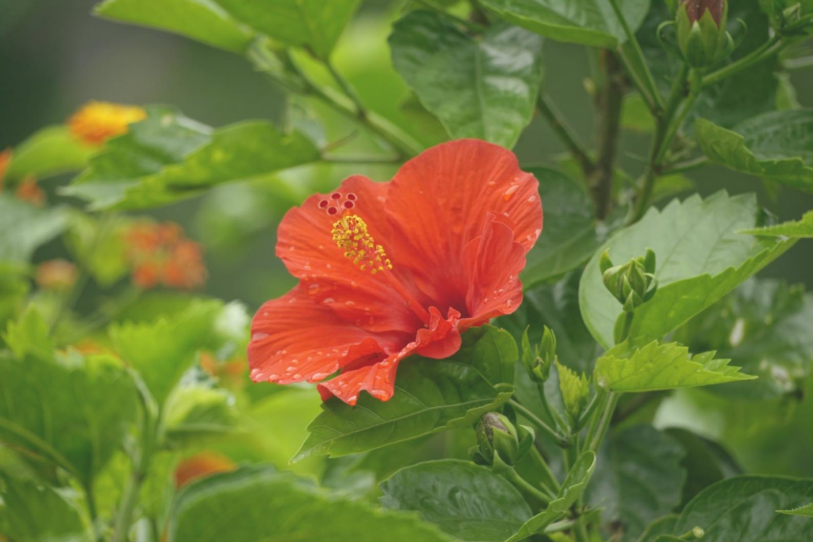 Teilnehmer in persönlichem Beratungsgespräch über berufliche Entwicklung